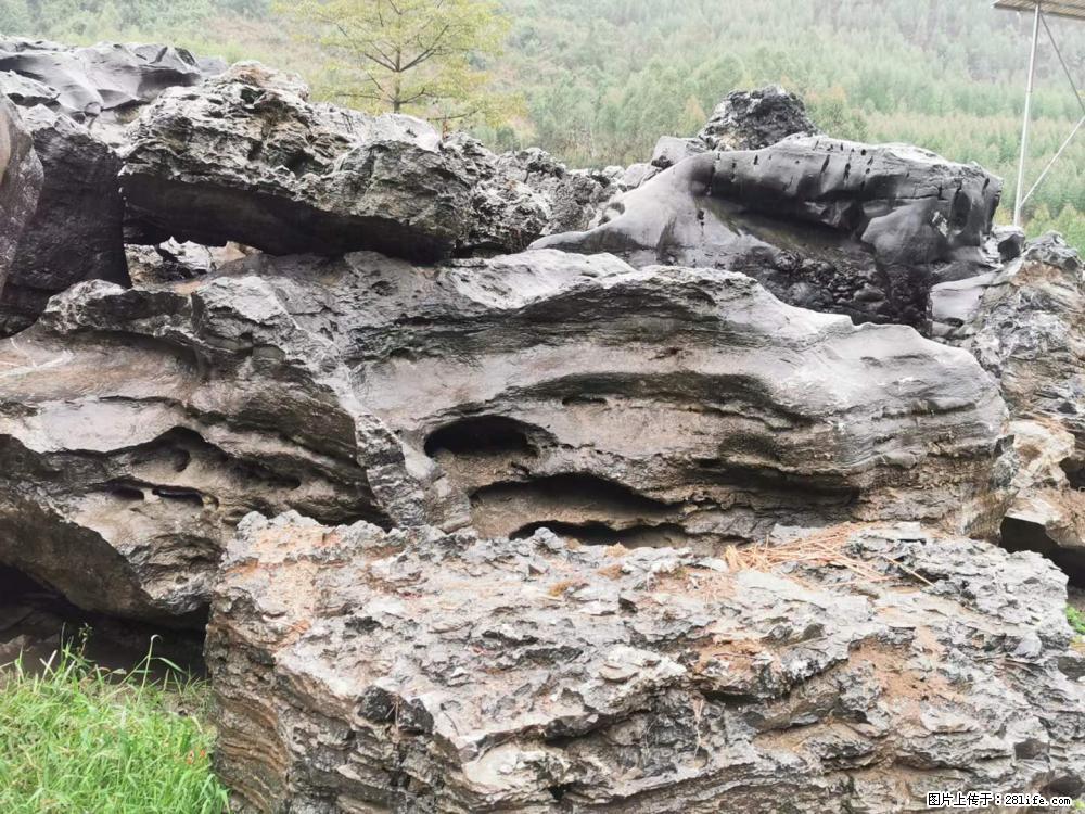 风景石、假山石大量有货，有需要的欢迎联系 - 新手上路 - 黄山生活社区 - 黄山28生活网 huangshan.28life.com