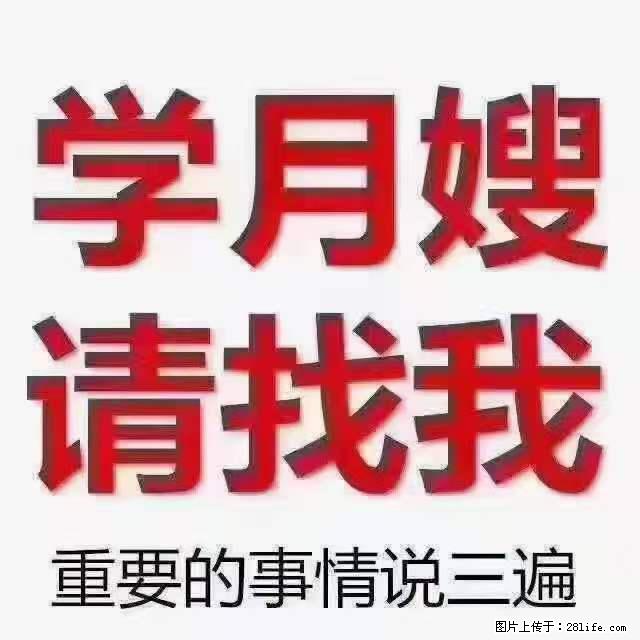 为什么要学习月嫂,育婴师? - 其他广告 - 广告专区 - 黄山分类信息 - 黄山28生活网 huangshan.28life.com