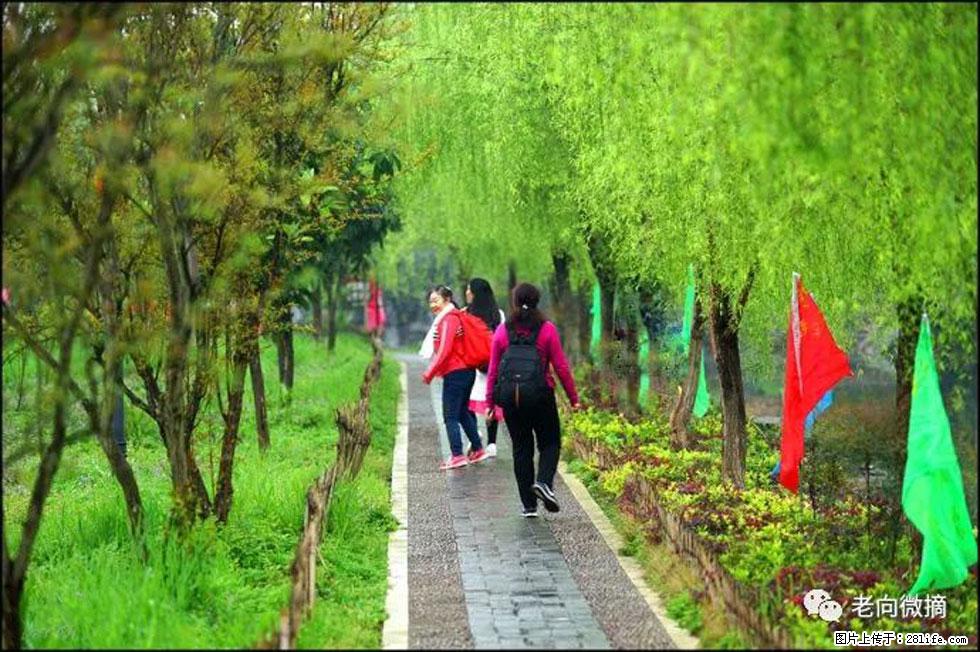 【春天,广西桂林灌阳县向您发出邀请!】江口老街又逢春 - 游山玩水 - 黄山生活社区 - 黄山28生活网 huangshan.28life.com