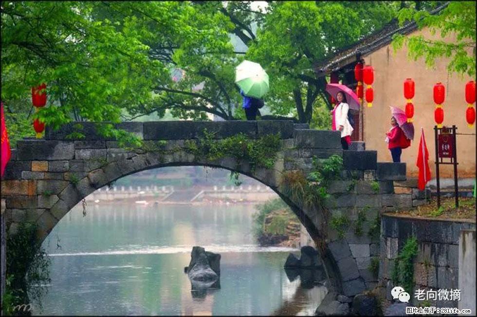 【春天,广西桂林灌阳县向您发出邀请!】江口老街又逢春 - 游山玩水 - 黄山生活社区 - 黄山28生活网 huangshan.28life.com