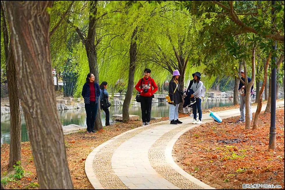 【春天,广西桂林灌阳县向您发出邀请!】江口老街又逢春 - 游山玩水 - 黄山生活社区 - 黄山28生活网 huangshan.28life.com