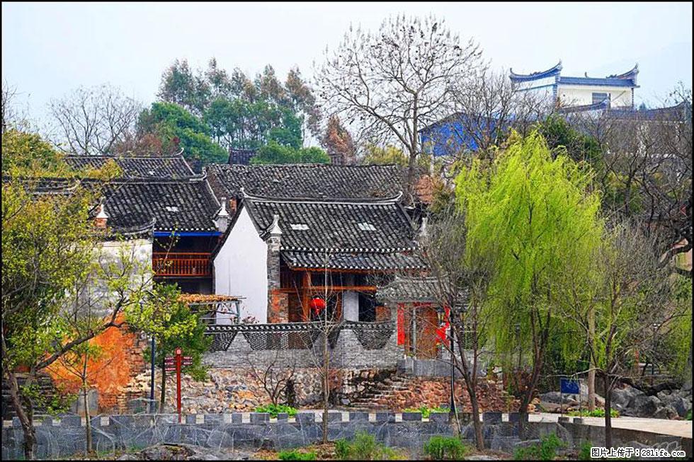 【春天,广西桂林灌阳县向您发出邀请!】江口老街又逢春 - 游山玩水 - 黄山生活社区 - 黄山28生活网 huangshan.28life.com