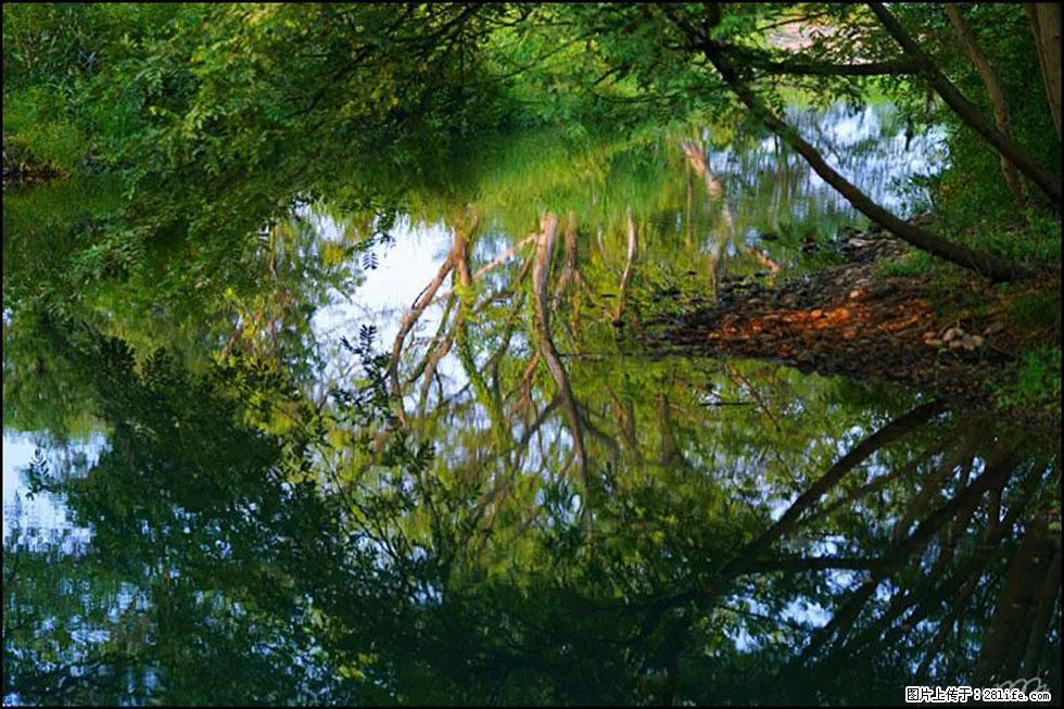 【春天,广西桂林灌阳县向您发出邀请!】熊家寨湿地公园 - 游山玩水 - 黄山生活社区 - 黄山28生活网 huangshan.28life.com
