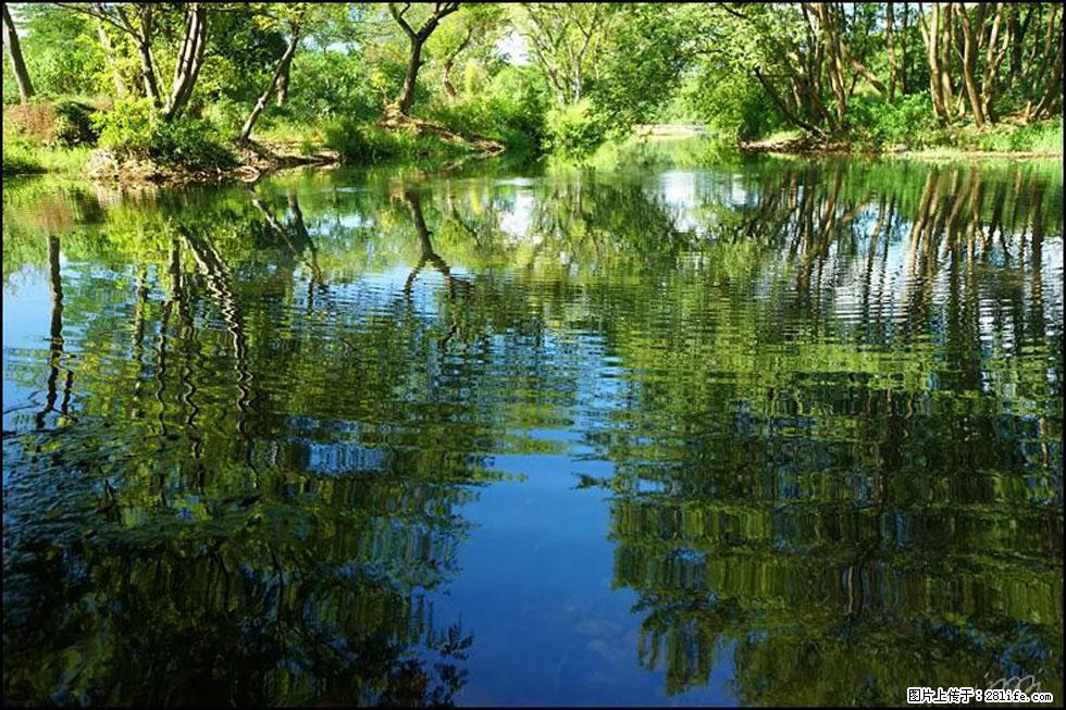【春天,广西桂林灌阳县向您发出邀请!】熊家寨湿地公园 - 游山玩水 - 黄山生活社区 - 黄山28生活网 huangshan.28life.com