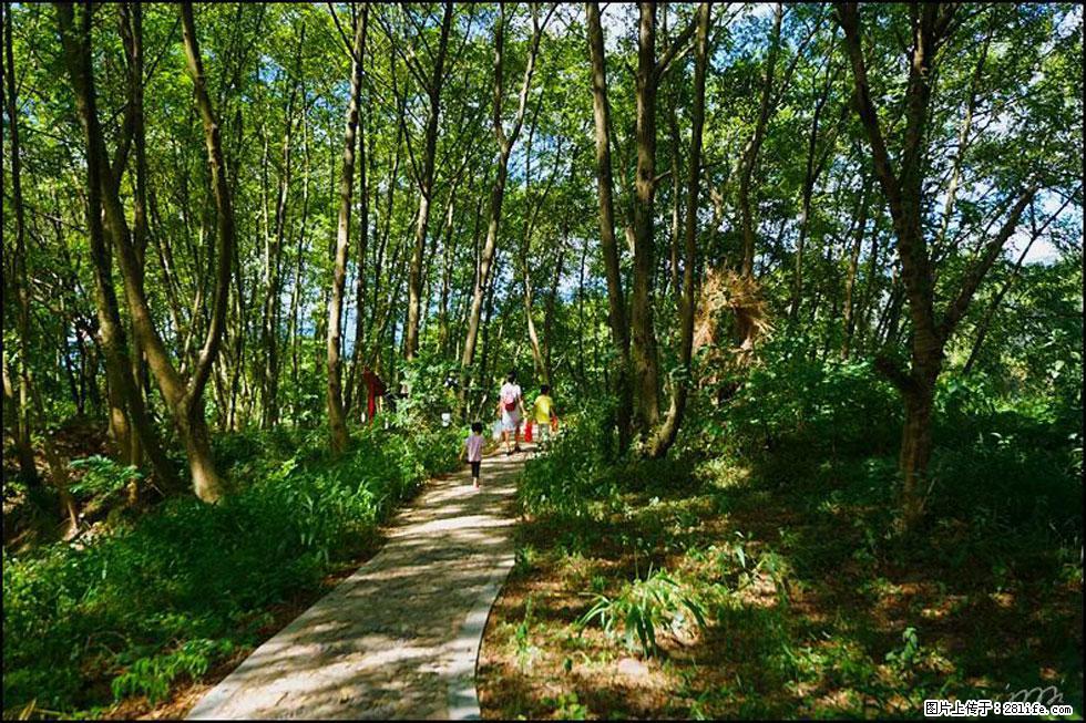 【春天,广西桂林灌阳县向您发出邀请!】熊家寨湿地公园 - 游山玩水 - 黄山生活社区 - 黄山28生活网 huangshan.28life.com