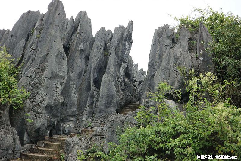 桂林旅游名城景点：灌阳文市石林 - 游山玩水 - 黄山生活社区 - 黄山28生活网 huangshan.28life.com