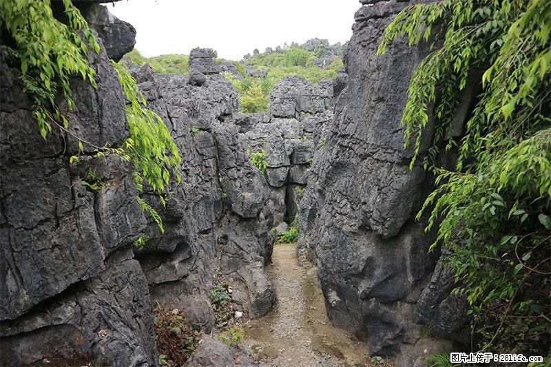 桂林旅游名城景点：灌阳文市石林 - 游山玩水 - 黄山生活社区 - 黄山28生活网 huangshan.28life.com