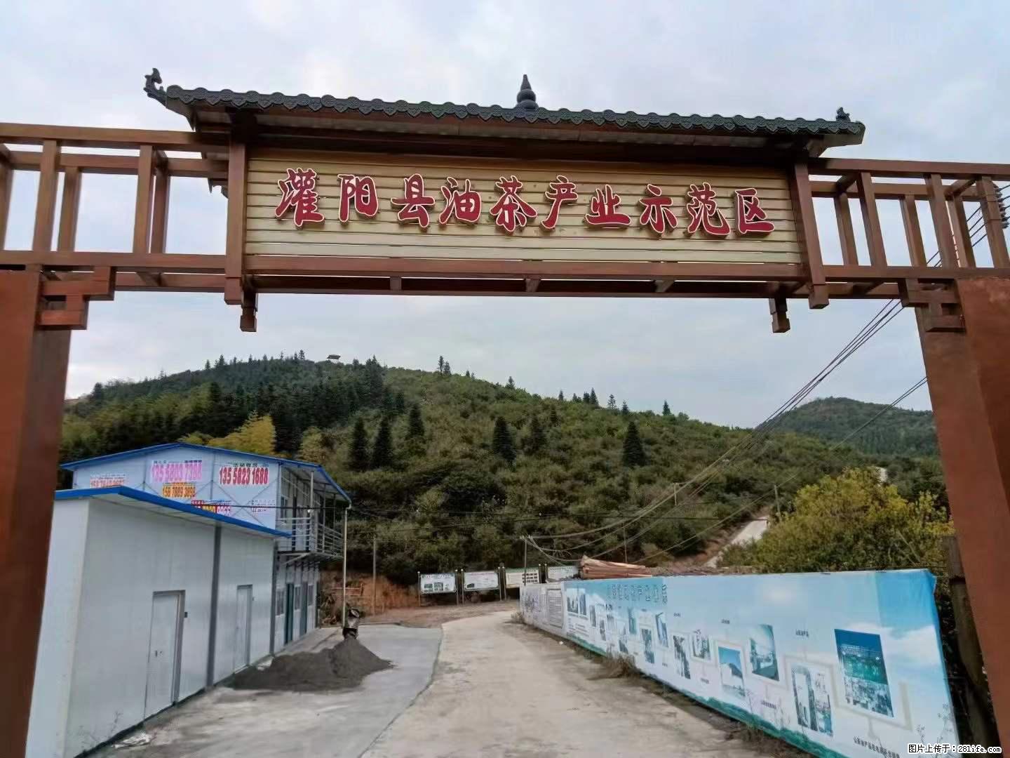 【灌阳县油茶产业示范区】一个有着充实的精神生活的人，对待身外之物自会有一种淡泊的态度 - 土特产 - 饮食特产 - 黄山分类信息 - 黄山28生活网 huangshan.28life.com