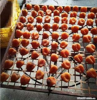 广西桂林平乐桥亭【柿饼之乡】2025年纯手工制作、无任何添加剂的第一批柿饼准备上市了，欢迎联系订购！ - 黄山28生活网 huangshan.28life.com