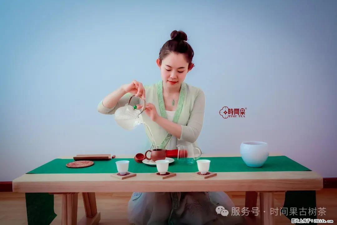 时间果百年古树龙珠普洱生茶 - 购物交流 - 黄山生活社区 - 黄山28生活网 huangshan.28life.com