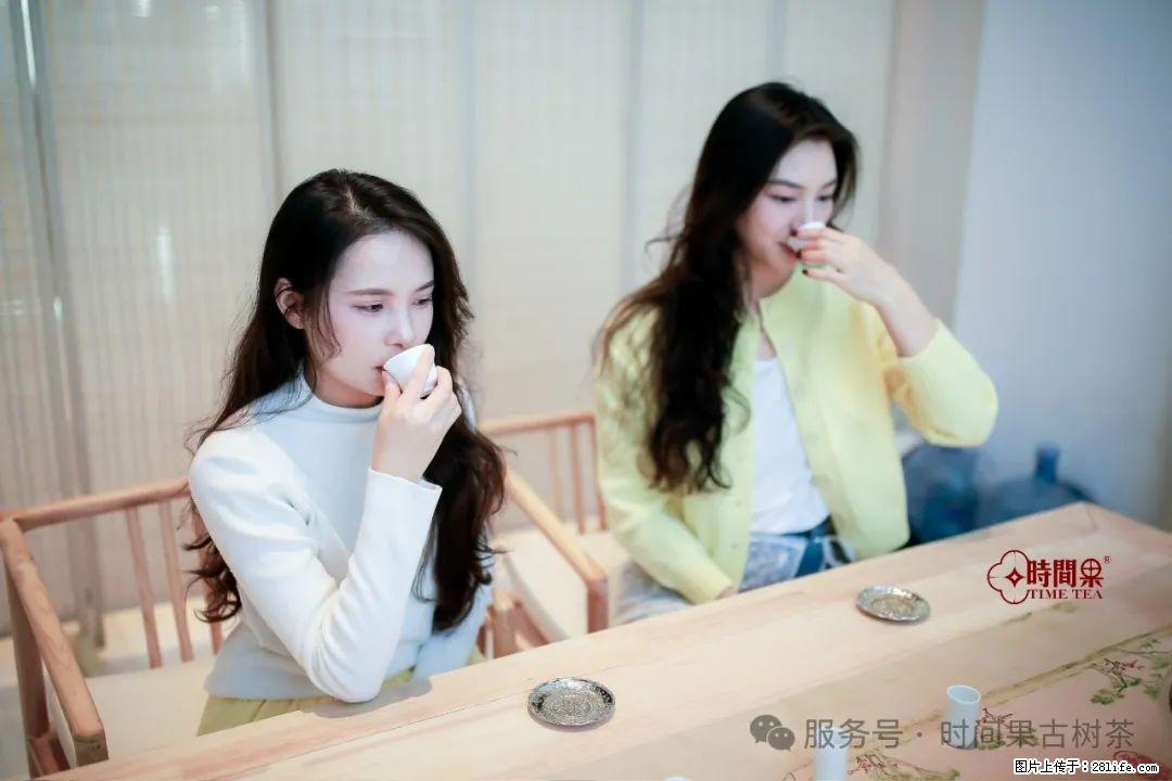 时间果百年古树龙珠普洱生茶 - 购物交流 - 黄山生活社区 - 黄山28生活网 huangshan.28life.com
