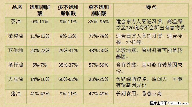 揭秘茶油的5大核心营养成分!被称为人体健康的“守护盾”! - 黄山生活资讯 - 黄山28生活网 huangshan.28life.com