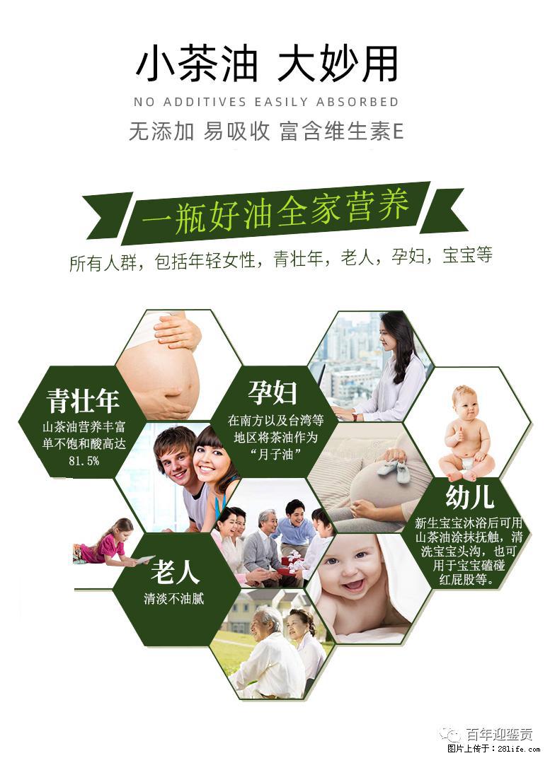 世界没有真相,只有认知,最好的食用油是中国的山茶油! - 黄山生活资讯 - 黄山28生活网 huangshan.28life.com