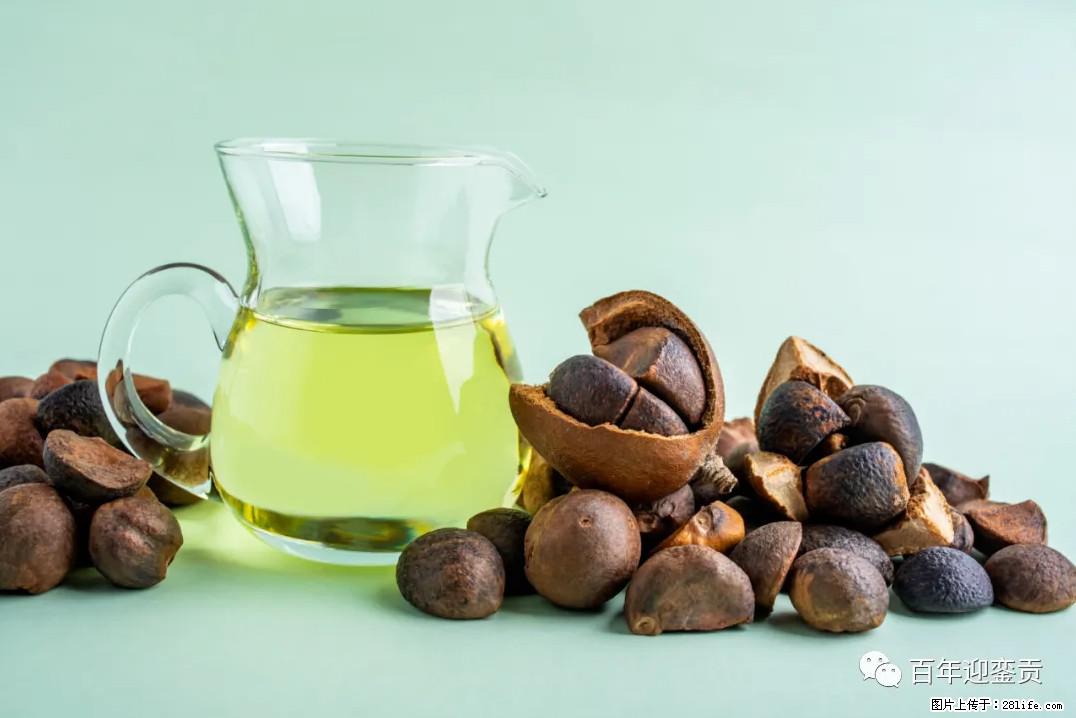 世界没有真相，只有认知，最好的食用油是中国的山茶油！ - 黄山生活资讯 - 黄山28生活网 huangshan.28life.com