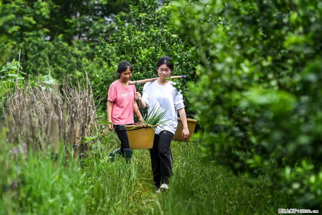 全网追的“扁担女孩”,找了一份暑假工,时薪12元 - 黄山生活资讯 - 黄山28生活网 huangshan.28life.com