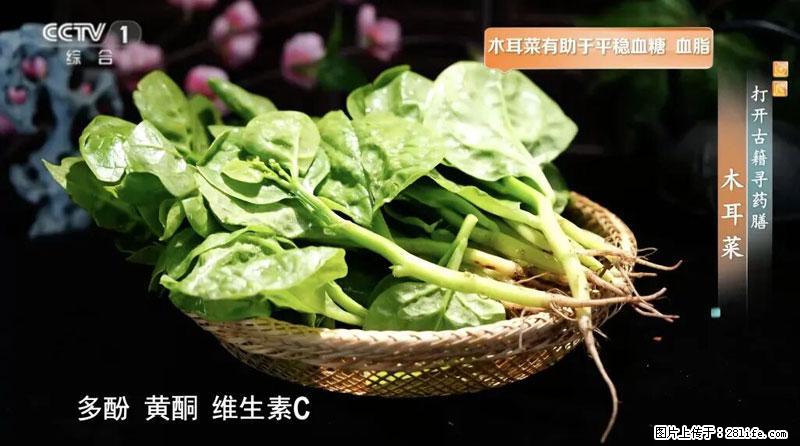 比牛奶补钙还厉害！凉血解毒、稳血糖...这菜冬天必吃，很多人却当草 - 黄山生活资讯 - 黄山28生活网 huangshan.28life.com