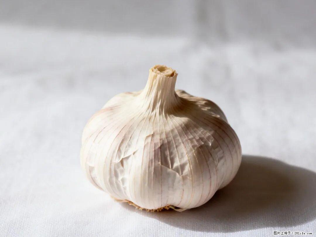 关于大蒜，除了“天然抗生素”，这4个谣言更该警惕! - 黄山生活资讯 - 黄山28生活网 huangshan.28life.com
