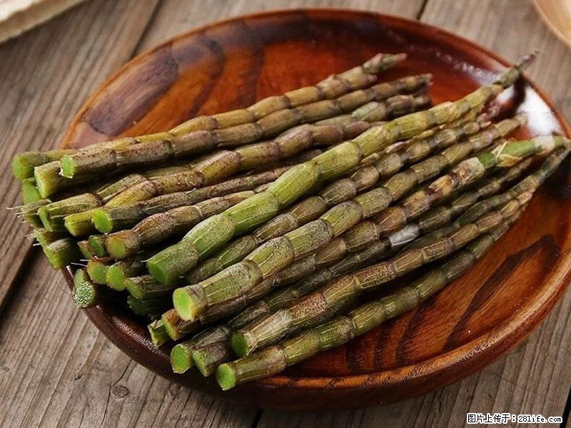 铁皮石斛的作用与功能主治 - 黄山生活资讯 - 黄山28生活网 huangshan.28life.com