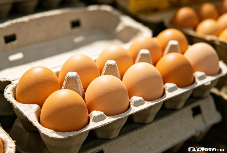 每天吃1个鸡蛋，全身收获9大好处！ - 黄山生活资讯 - 黄山28生活网 huangshan.28life.com
